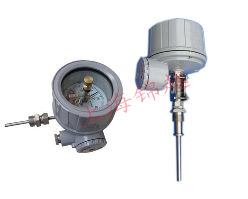 隔爆電接點雙金屬溫度計 WSSX-480B